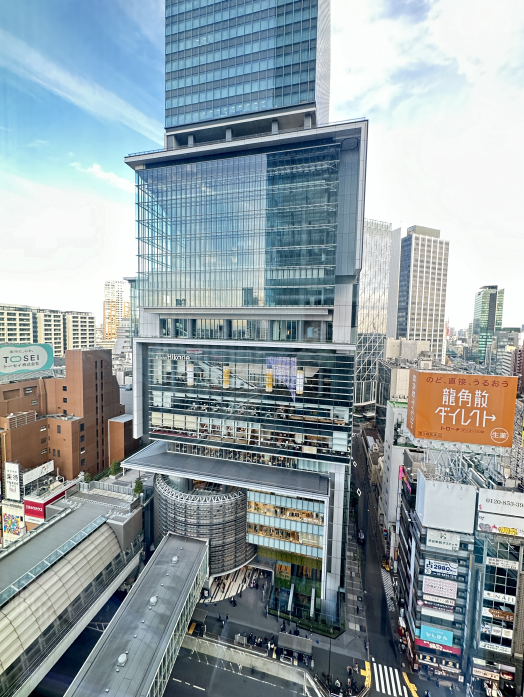  새해 맞이 도쿄 : 도쿄타워뷰 프린스호텔 & 시부야 스크램블 여행기