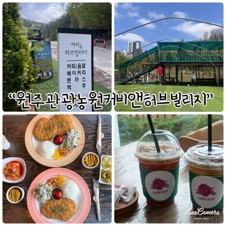  태장동 카페 “원주관광농원커피앤허브빌리지” 허브돈까스먹고왔어요