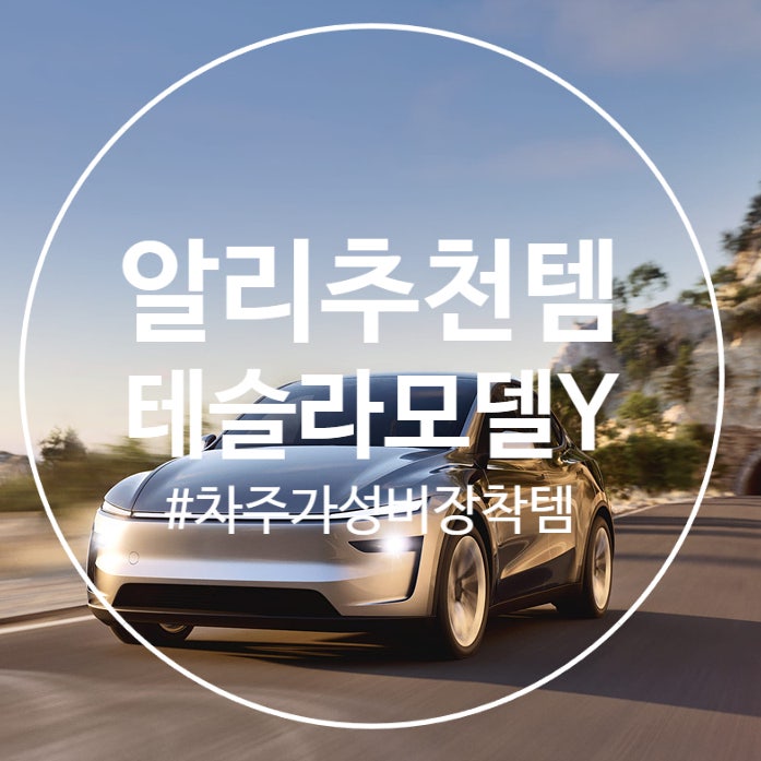  알리익스프레스 테슬라 모델Y 필수템, 꿀템 리스트 정리 , 가성비 장착템 모음