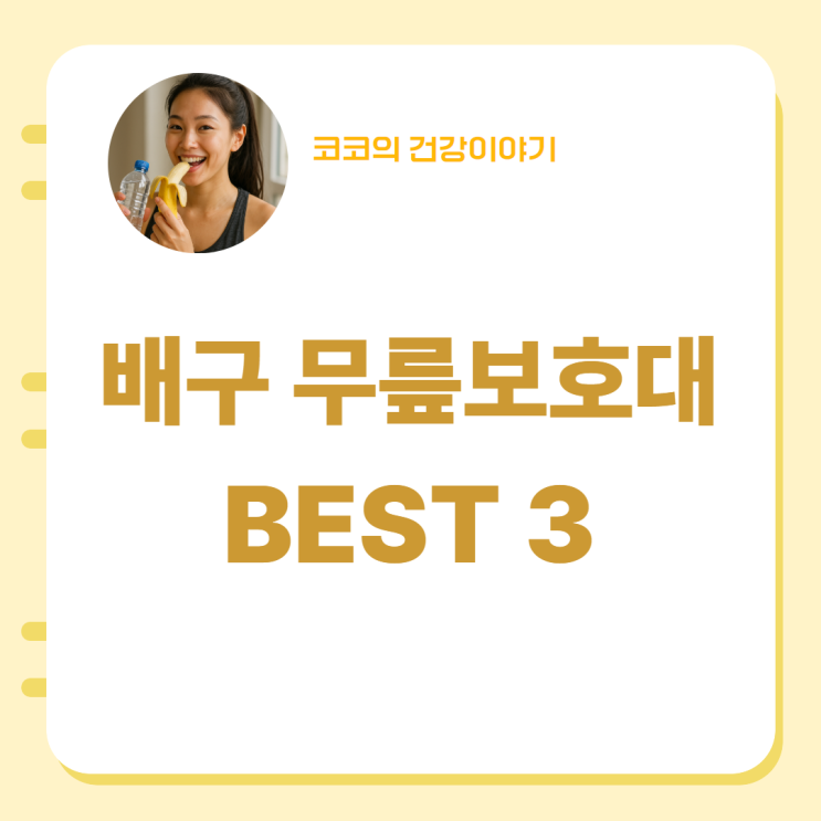  배구 무릎보호대 BEST 3