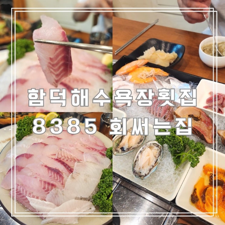  아이랑 함덕해수욕장횟집 함덕 회코스 해산물 맛집 8385 회써는집