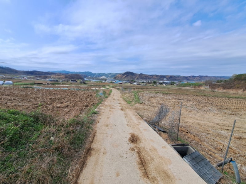 사진 3