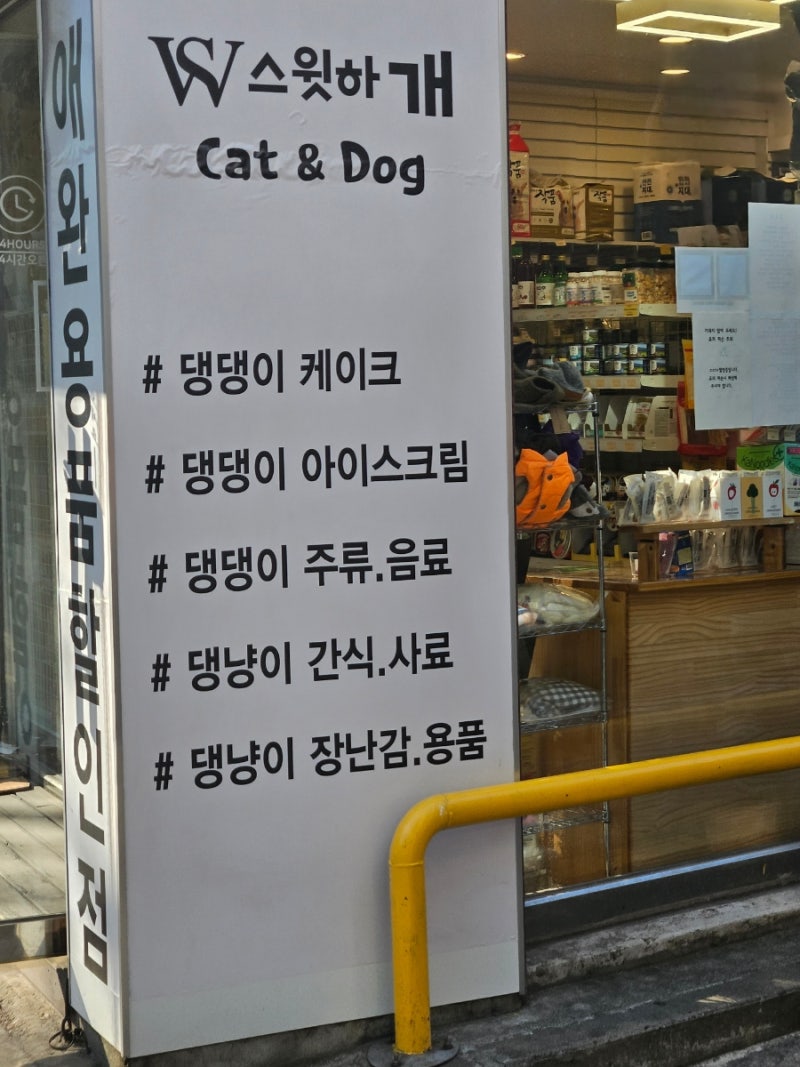 사진 5