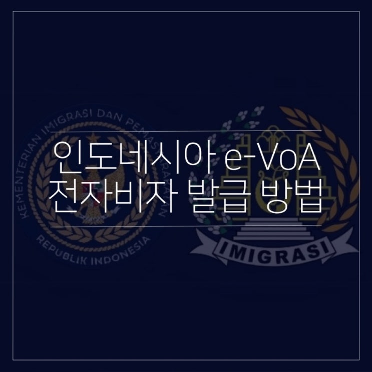  발리 인도네시아 입국 전자비자 도착 e비자 e-VoA 모바일 사전 신청 발급 방법