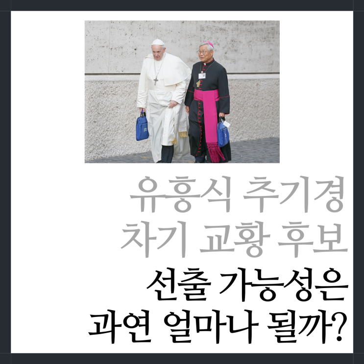<b>유흥식 추기경 차기 교황</b> 후보 선출 가능성은?