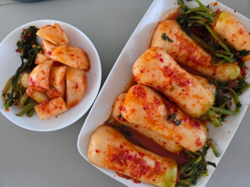선우용녀 김치 마음담은 총각 김치 5kg 맛있는 국산 김치 택배 추천