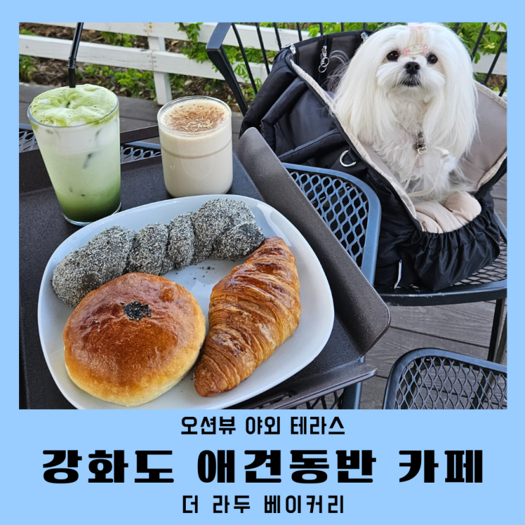  강화도카페 오션뷰 더라두 베이커리 애견동반 카페 주차장