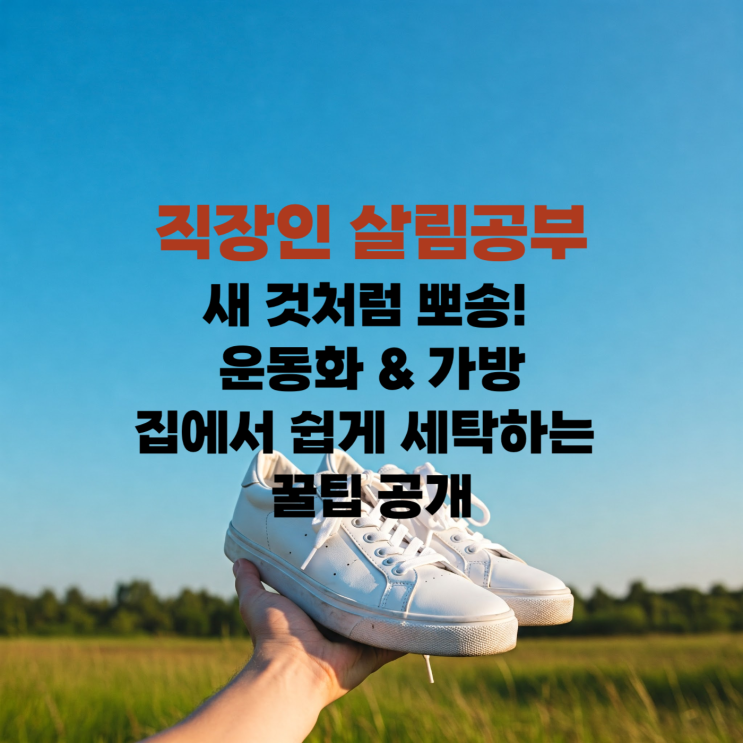  [살림] 새 것처럼 뽀송! 운동화 & 가방, 집에서 쉽게 세탁하는 꿀팁 공개