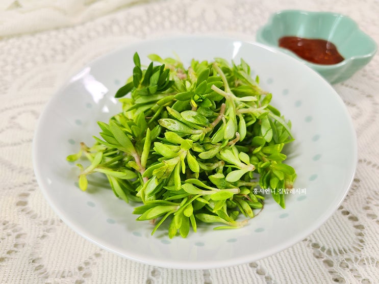 돌나물 맛있게 먹는 3가지 초간단 방법 돈나물 요리 초장 돗나물 효능 제철 샐러드 비빔밥