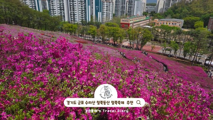  군포 철쭉축제 철쭉동산 국내 뚜벅이 여행 경기도 4월 꽃구경 가볼만한곳