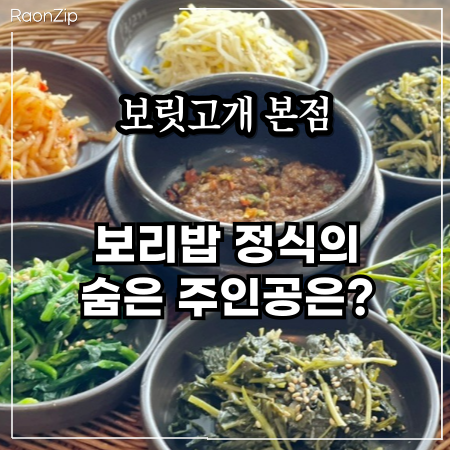  원주 보릿고개 이 맛 실화? 혁신도시 보리밥 맛집!
