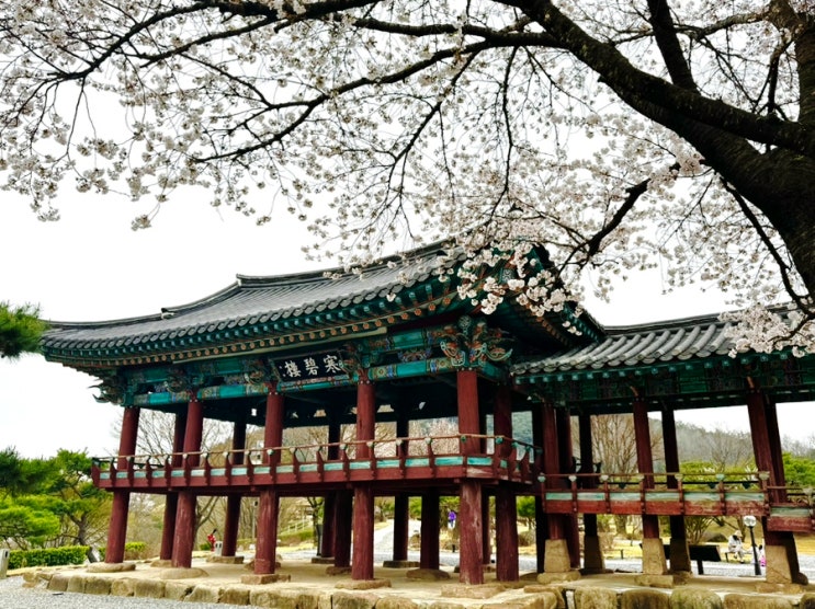 남녀노소 좋아할 가족여행지, 청풍문화재단지 & 청풍호반 케이블카