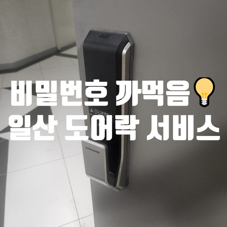  도어락 비밀번호 까먹음 잊었을때 일산 대화동 열쇠에서 바로 해결