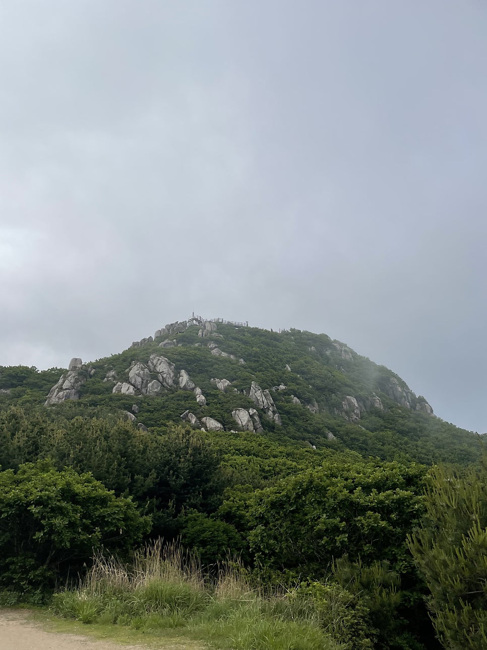 청와장 사진 5