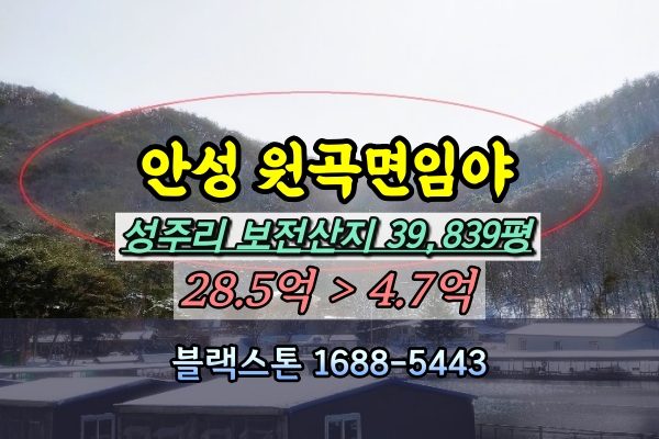  안성시 원곡면 임야 경매 보전산지 4만평