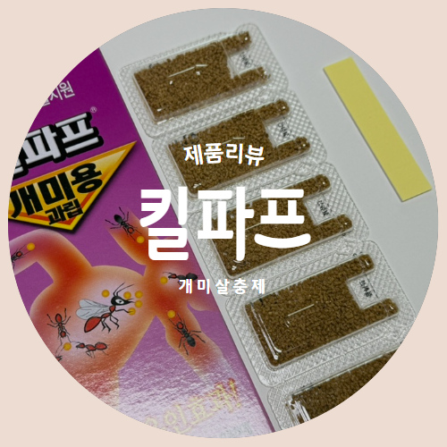  주택에 생기는 개미없애는법 "킬파프개미약" 제품리뷰