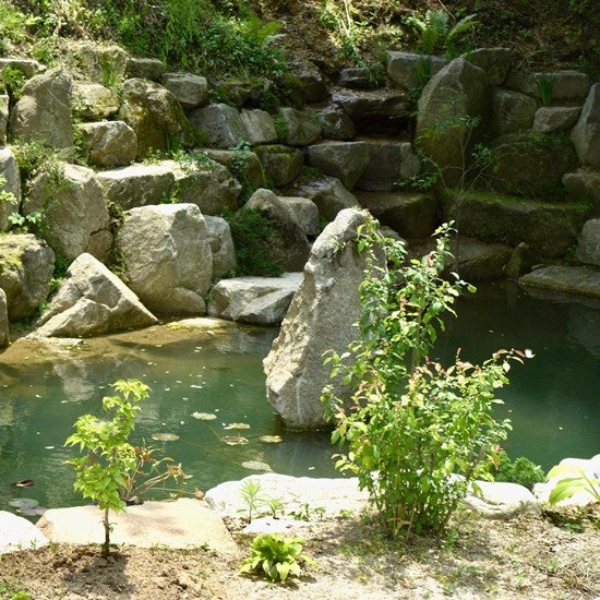 난여울 사진 4