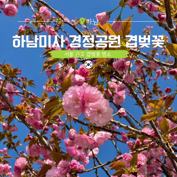  하남 미사경정공원 겹벚꽃 실시간 서울 나들이 명소 추천
