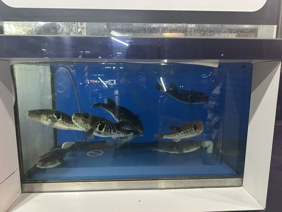 현복집 판교점 사진 2