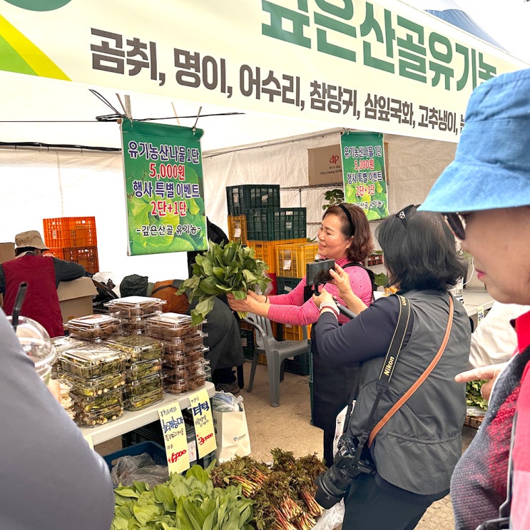  2025 강원 홍천 산나물축제 일정 및 행사내용 (5.3~5)