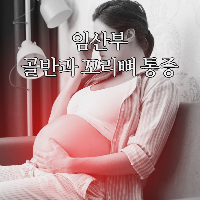  임산부 골반통증 꼬리뼈 통증 원인과 완화방법