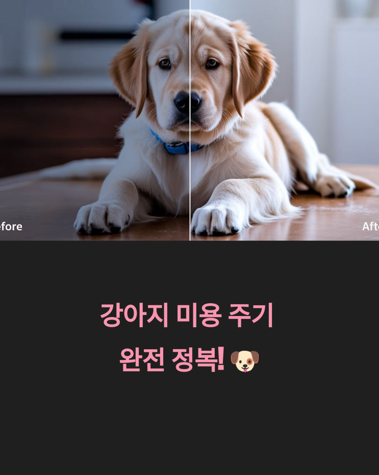 강아지 미용 주기 완전 정복!  셀프 미용 꿀팁까지 한방에!