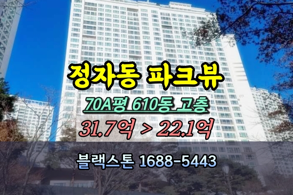  분당 정자동 파크뷰 경매 70A평 고급아파트 [2023타경141]