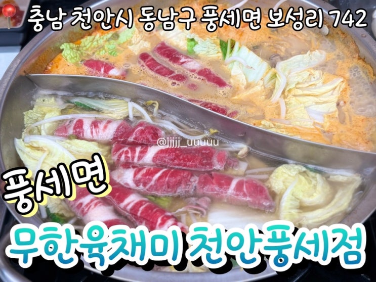  풍세 가성비 샤브샤브 무한리필 무한육채미 내돈내산 솔직후기