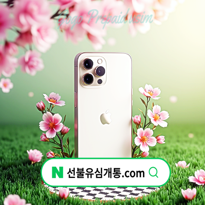  KT알뜰폰유심 분실 개통시 듀얼번호 재설정 방법️