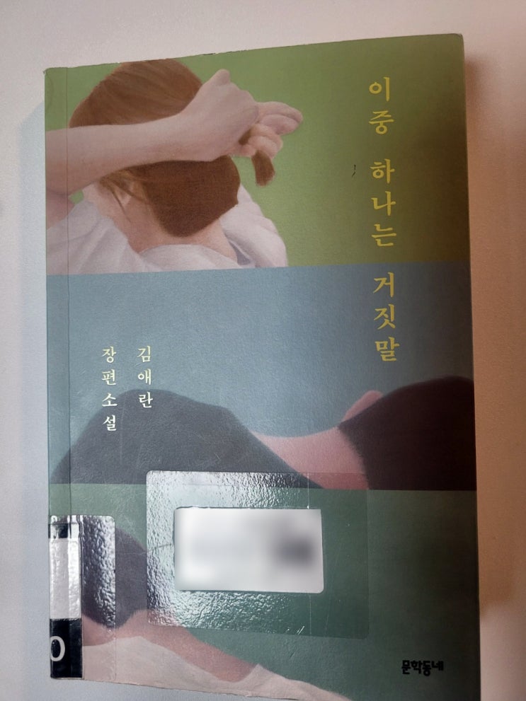  제 기대가 너무 컸을까요? 김애란 이중 하나는 거짓말