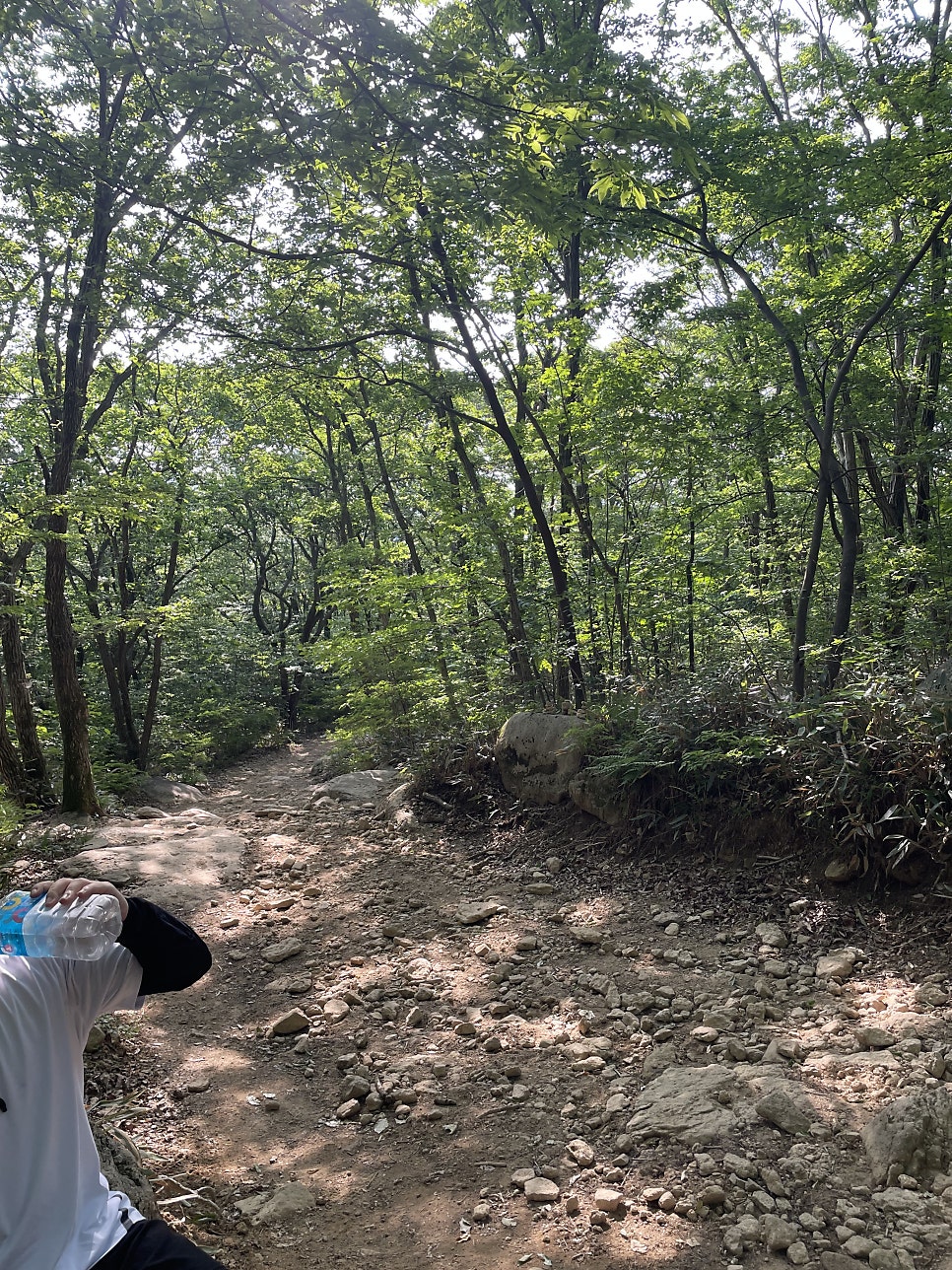 청와장 사진 3