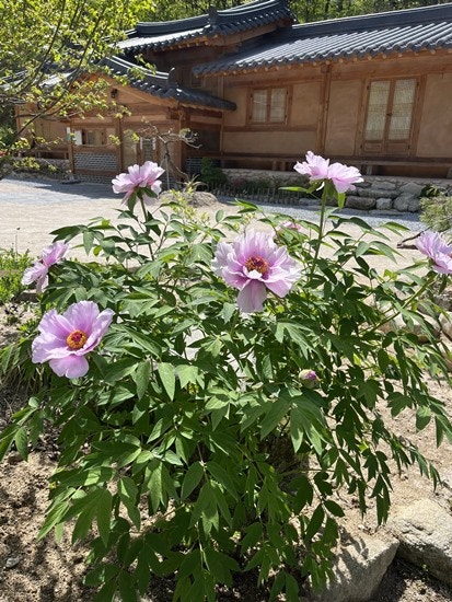 난여울 사진 5
