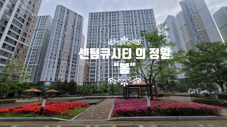  주촌  센텀큐시티 아파트의   " 봄 "