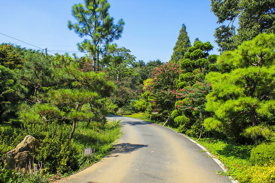 신죽리수목원 사진 2