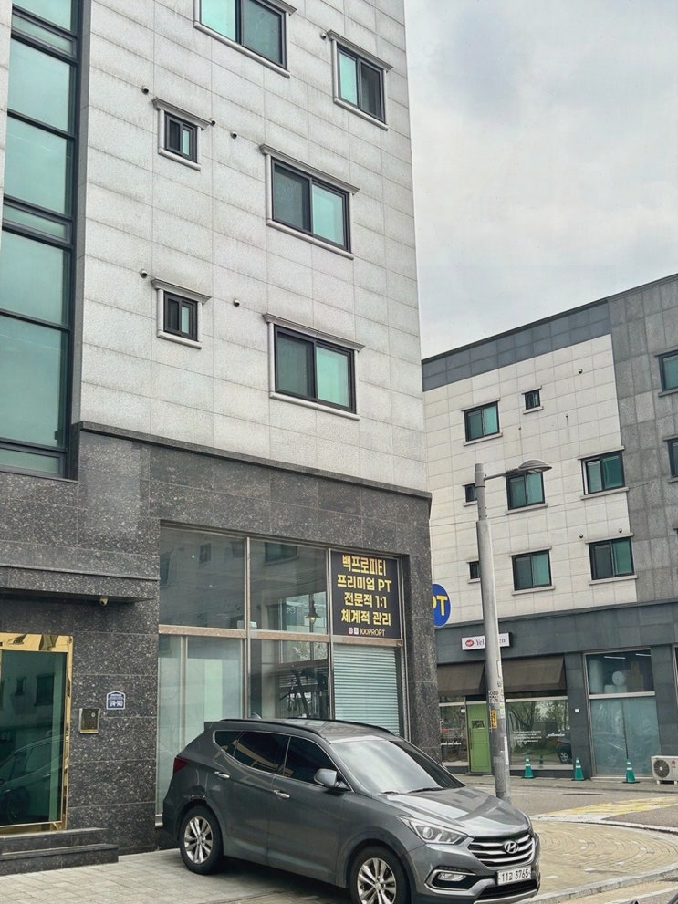  백프로피티, 효과적인 운동과 애견 동반 가능함으로 마산동pt