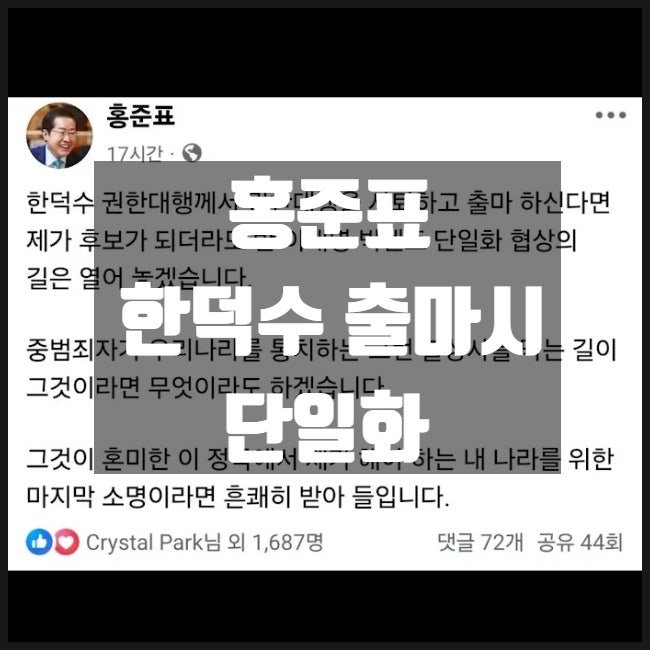 홍준표 한덕수 출마시 단일화 홍준표 한덕수 출마시 단일화