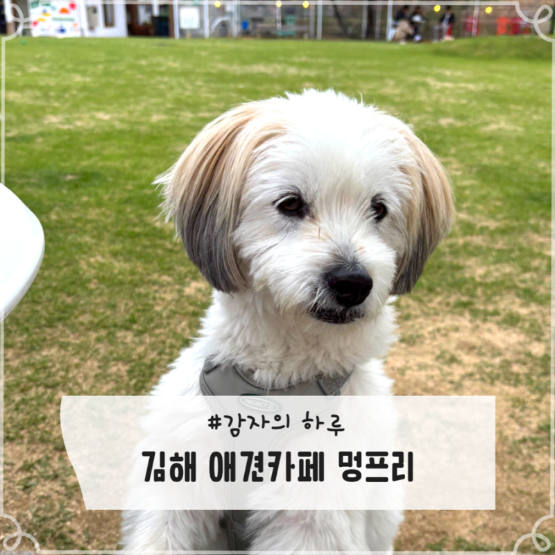 사진 2