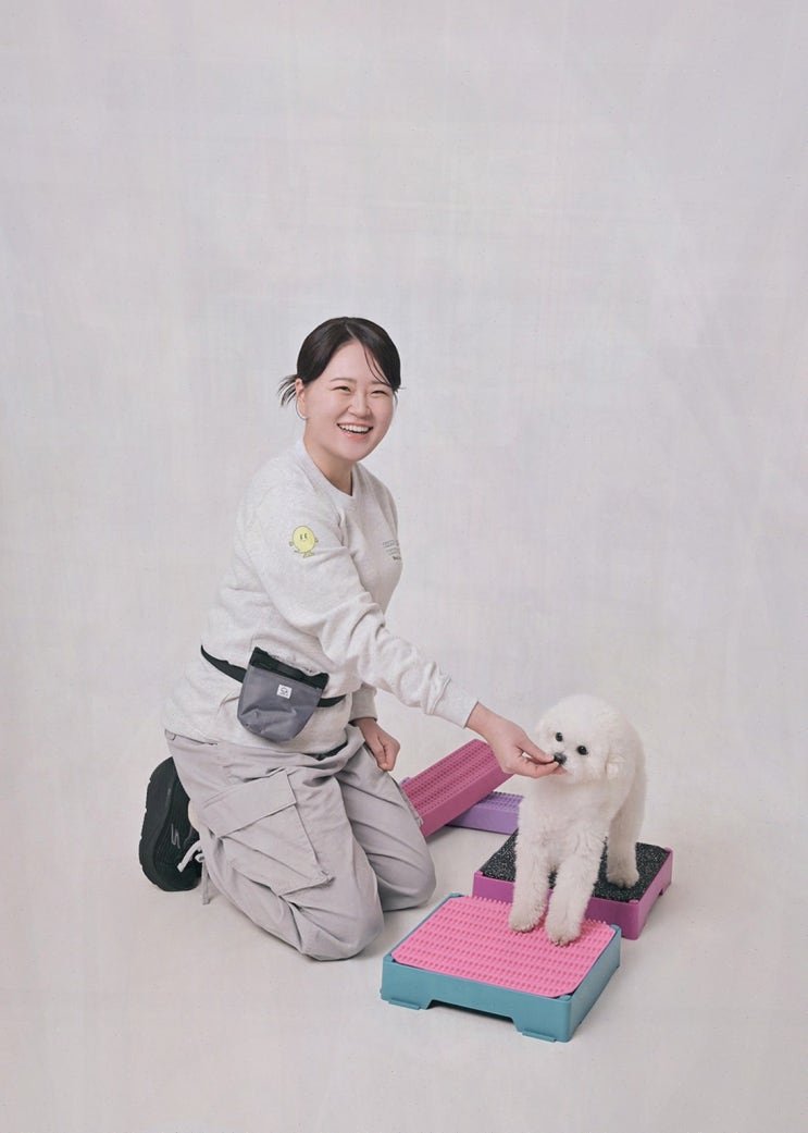  해피쉼표데이, 대구애견카페에서 수업과 휴식이 공존하는 시간을!