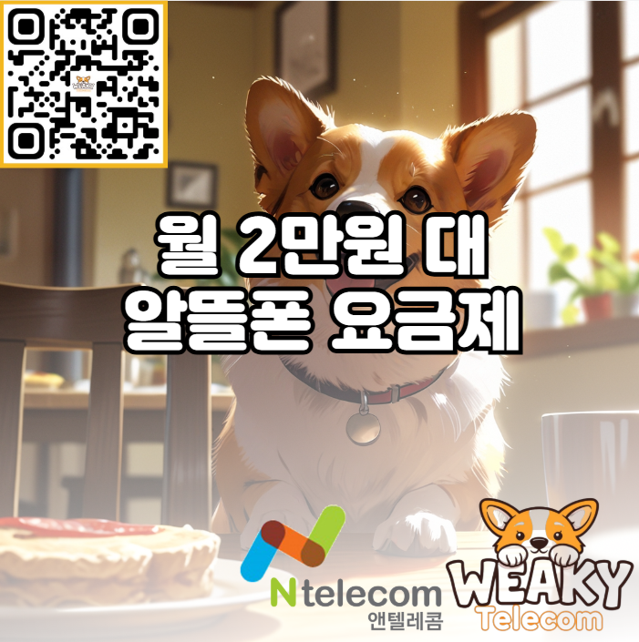  월 2만 원 대 알뜰폰 요금제 사용으로 가계 통신비를 절약해 보자!