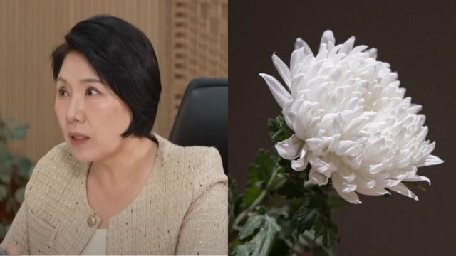 故 <b>강지용</b> 비보에…’<b>이혼숙려</b>’ <b>이호선 교수</b>, 무거운 글 올렸다