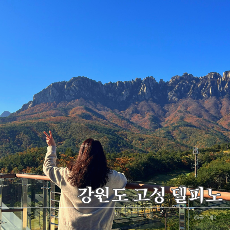  고성 소노펠리체 델피노소노캄 가성비가 내려오는 강원도호텔