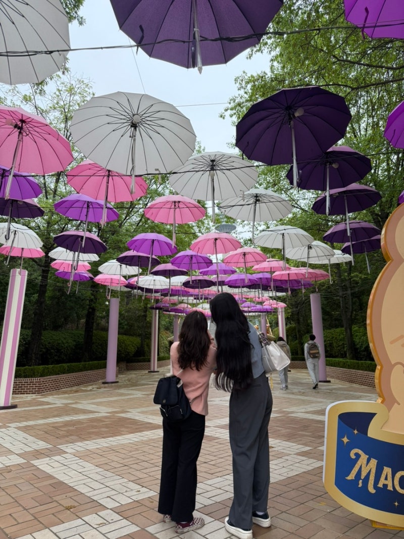 대구 이월드 할인 티켓 kt 국민카드 삼성카드 통신사 할인 꿀팁 정리