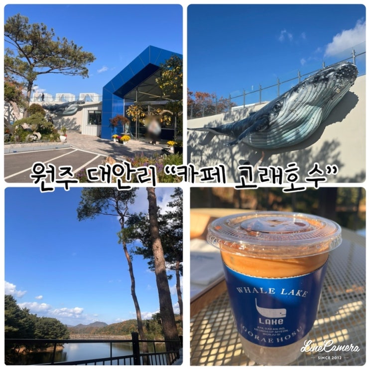  원주뷰카페 "카페 고래호수" 가오픈때 다녀왔어요