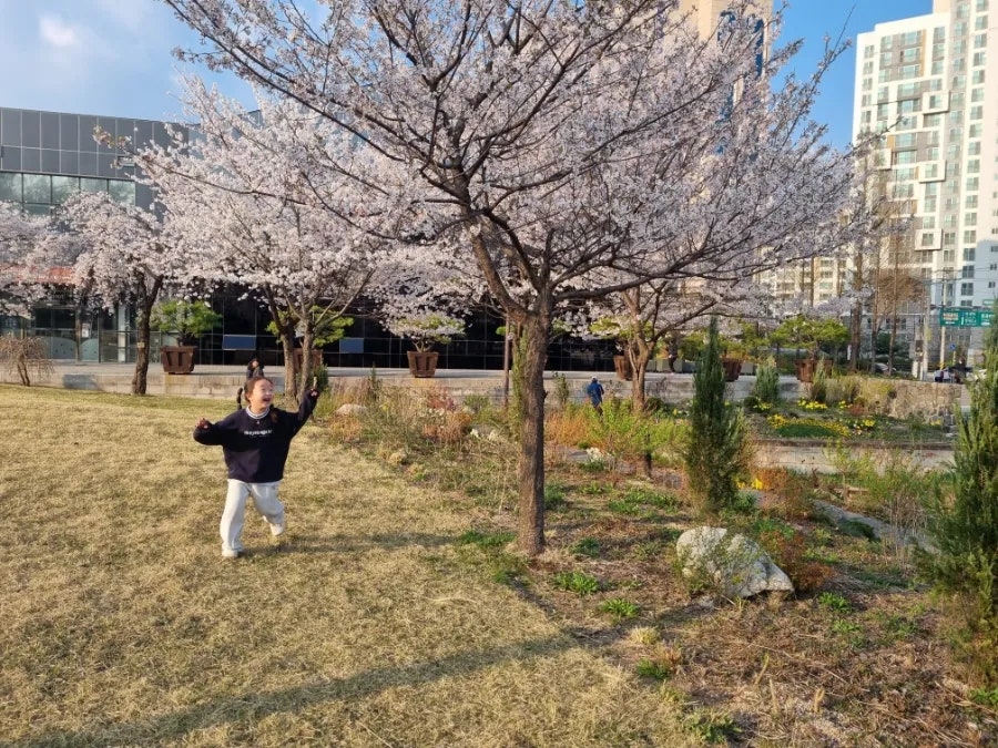 달고나 꼬마김밥 사진 3