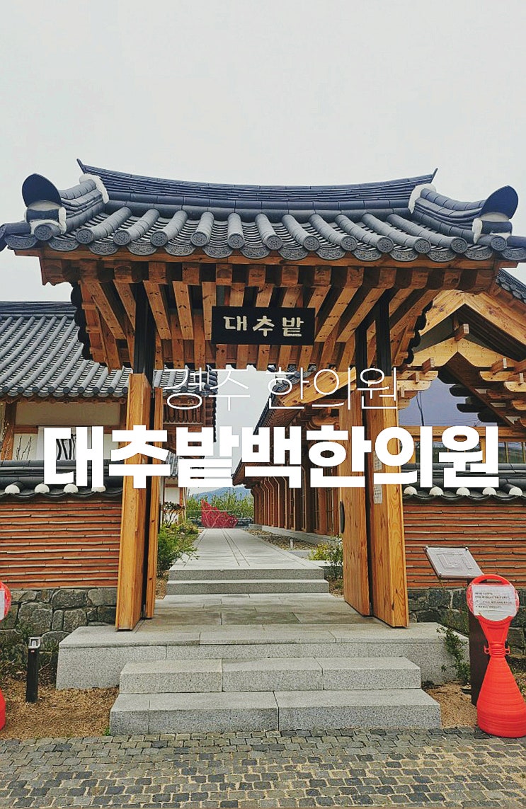  경주 대추밭백한의원 4대원장님 일요일 진료상담