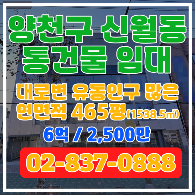  [신월동 건물 통임대] 유동 인구 많은 연면적 465.4평(1,538.5) 대로변 건물 보증금 6억 / 월 2,500만