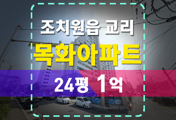 세종 조치원읍 교리 목화아파트 경매 분석