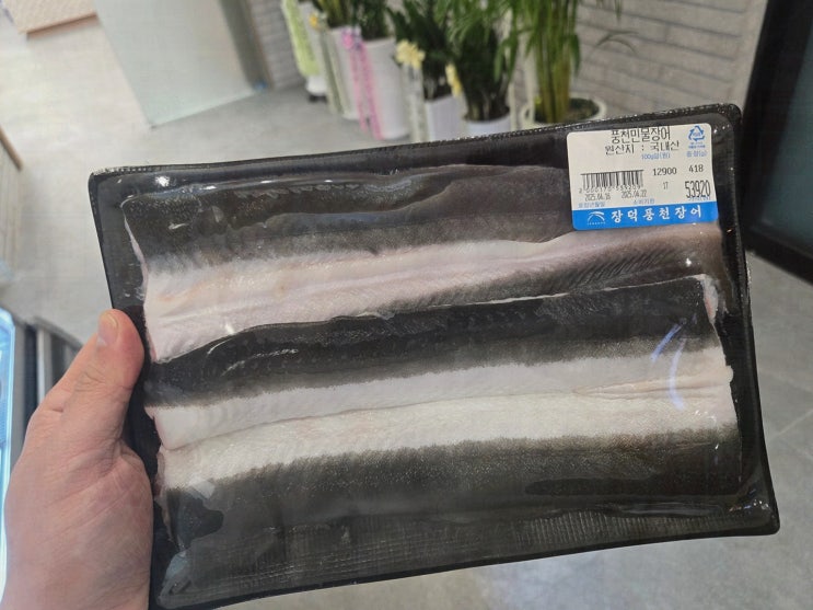  장덕풍천장어 마산직영점, 신선하고 맛있는 마산장어맛집