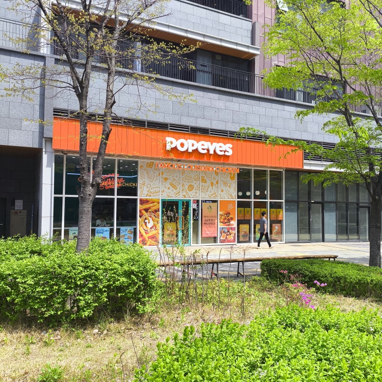  한국 치킨에 재도전!! 파파이스(Popeyes)