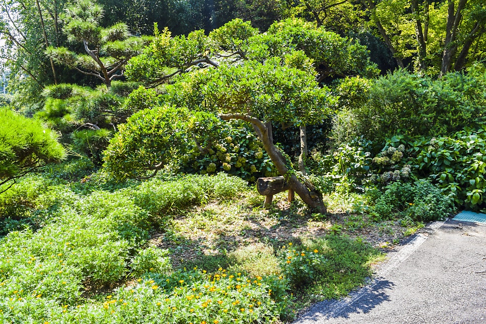 신죽리수목원 사진 3
